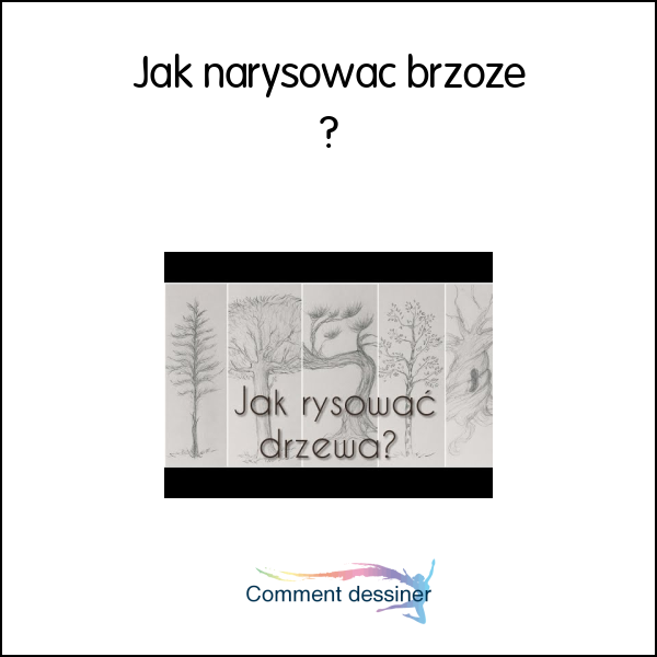 Jak narysować brzozę